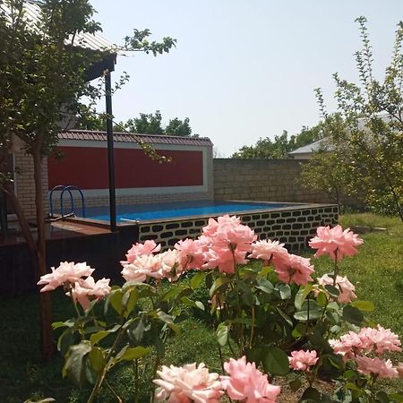 Villa Vilish Gabala Kültér fotó