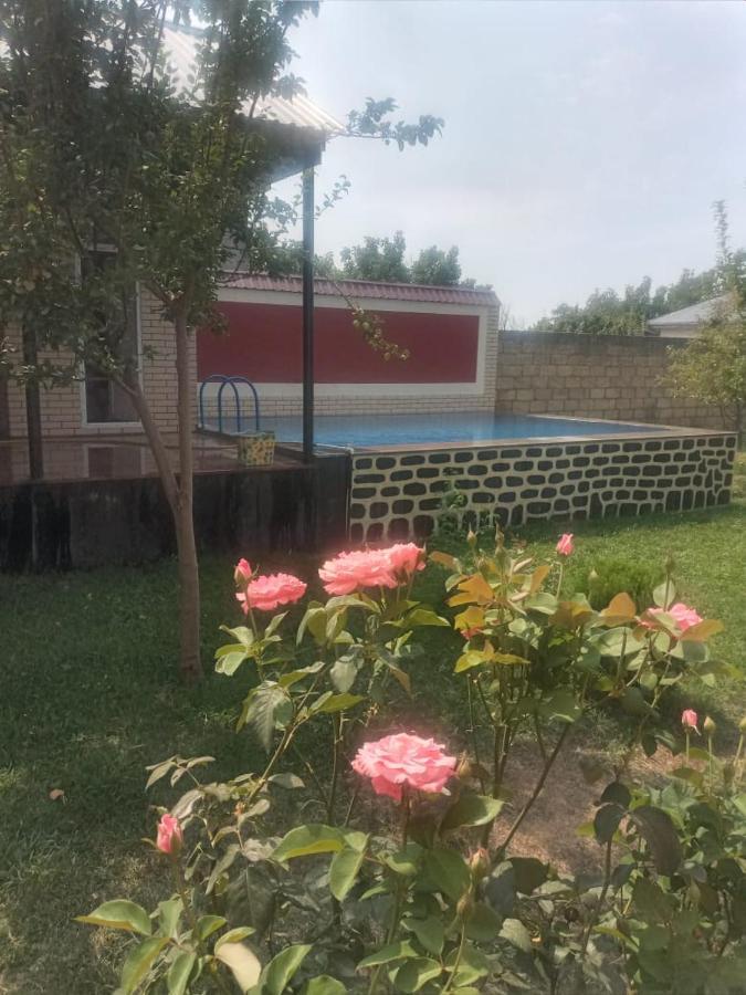 Villa Vilish Gabala Kültér fotó