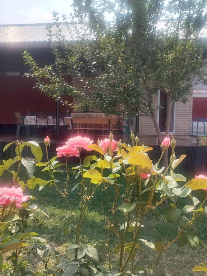 Villa Vilish Gabala Kültér fotó