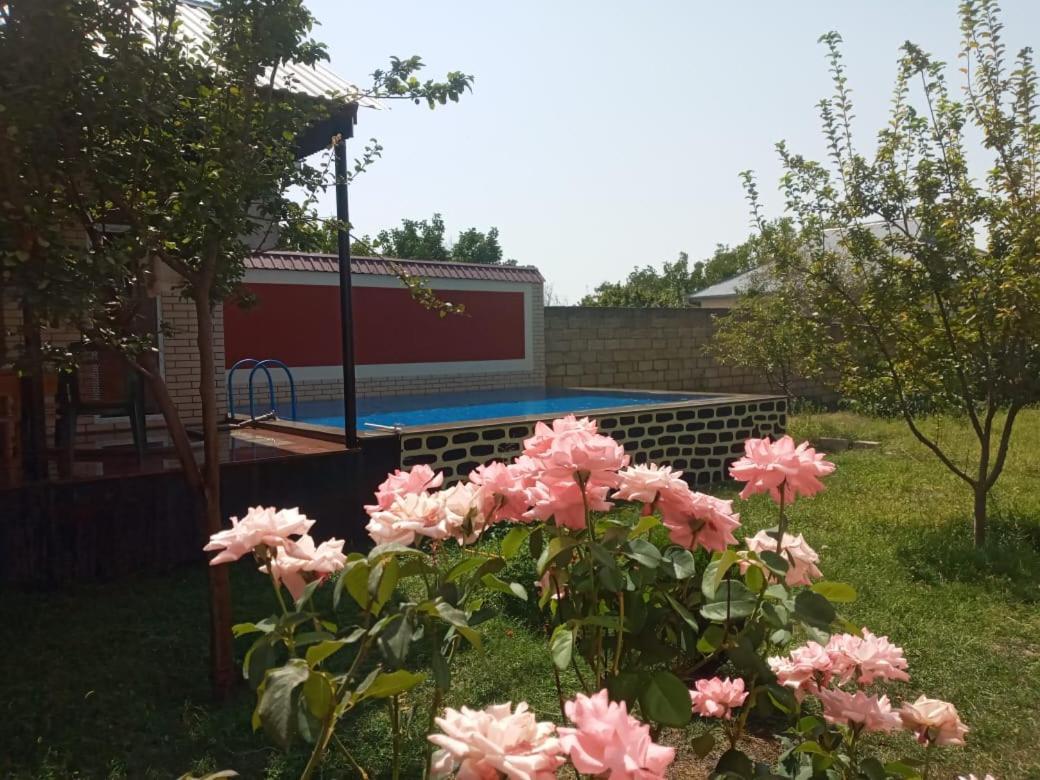 Villa Vilish Gabala Kültér fotó